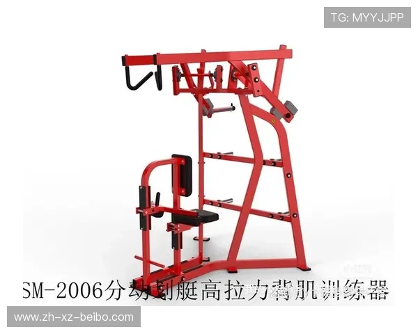 高拉力训练器的多种使用技巧与肌肉增强
